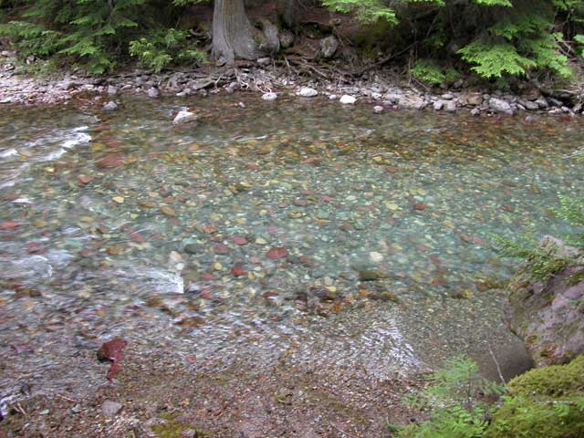 Avalanche Creek