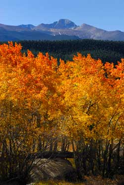 B-197 - Longs Peak In Fall