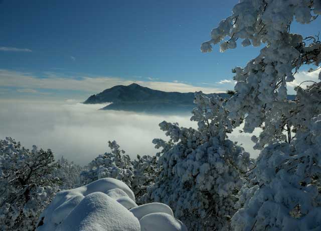 Fog City Summit