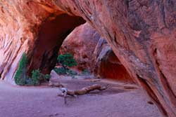 Navajo Arch