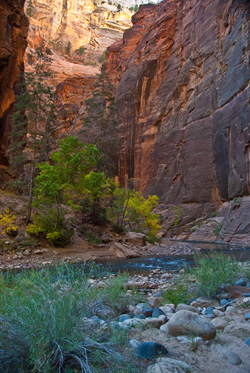 Zion Canyon Slot