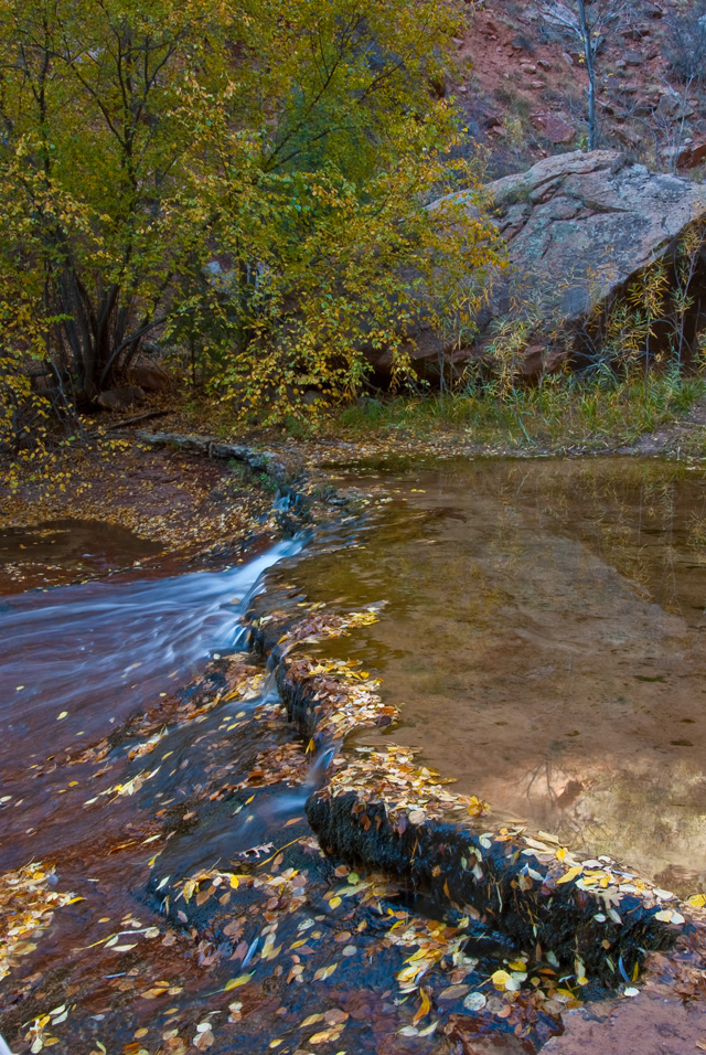 Autumn Water