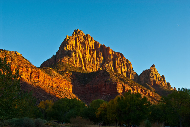 The Watchman