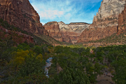 The Visitor Center