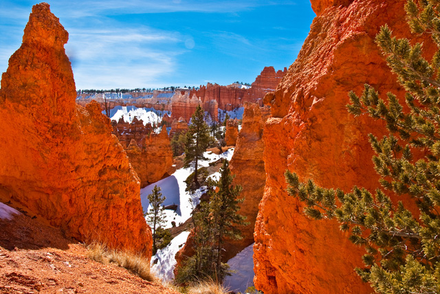 Bryce Orange Rock