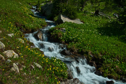 B-282 - Cascading Falls