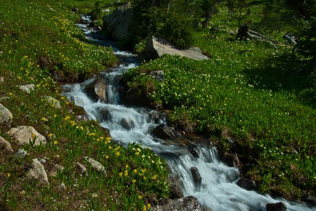 Cascading Falls