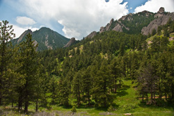 B-288 - City Park