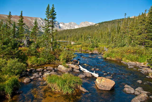 Mountain Stream