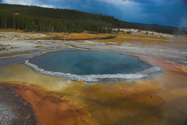 Crested Pool