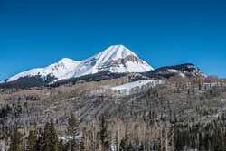 Engineer Mountain Forest