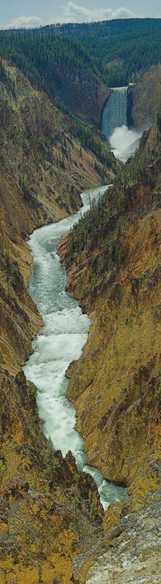 The Lower Yellowstone Falls