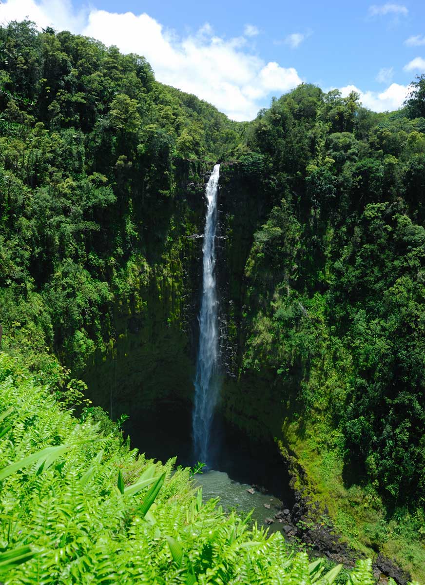 Akaka Falls 