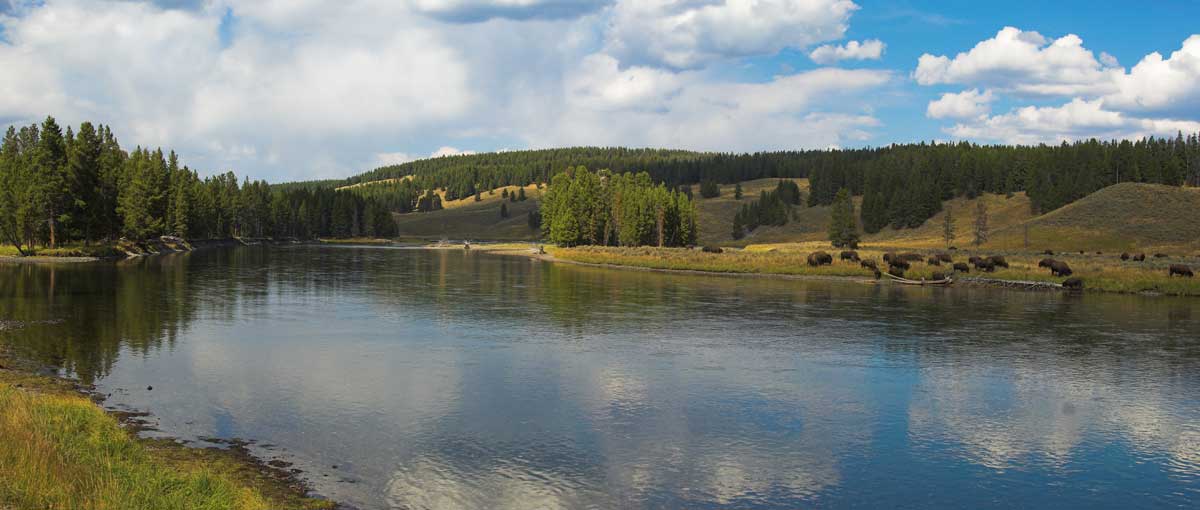 Entering Hayden Valley