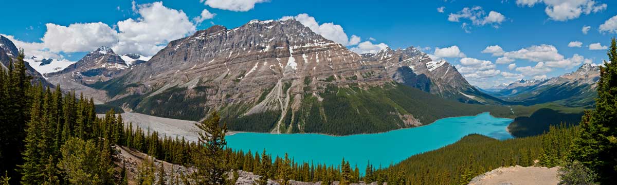 Peyto Lake And The Bow Valley