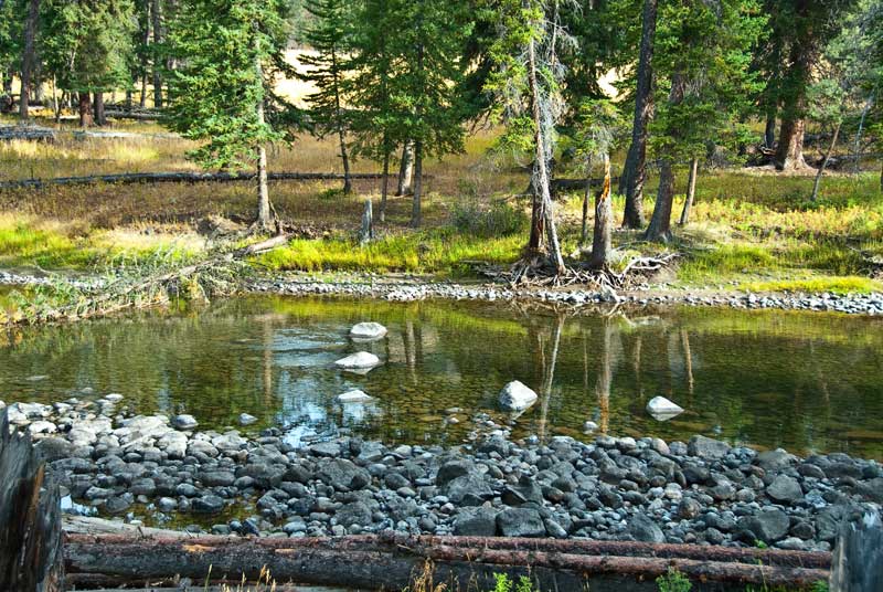 Slough Creek, Yellowstone N. P. Slough Creek, Yellowstone N. P.